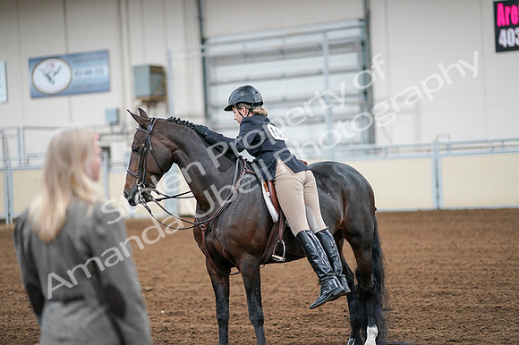 2020 - AB Morgan Horse - Fri, Sept 04 - 02080