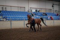 2019 Morgan Horse Show - Aug 31, 2019 - 00533