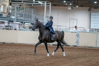 2020 - AB Morgan Horse - Fri, Sept 04 - 06972