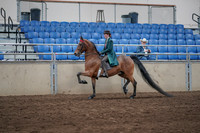 2019 Morgan Horse Show - Sept 01, 2019 - 13168