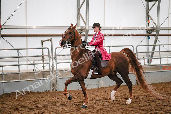 July 19, 2019 - 8936