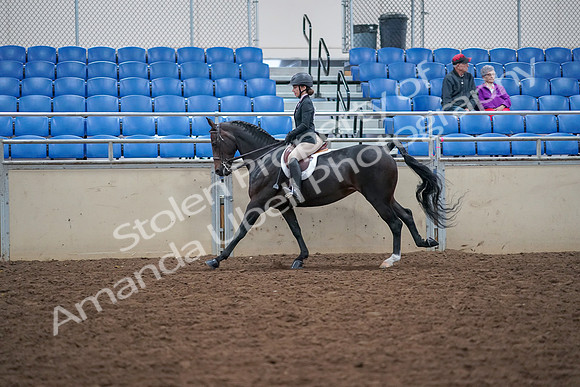 2019 Morgan Horse Show - Aug 30, 2019 - 20644