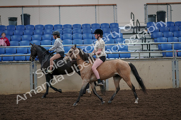 2019 Morgan Horse Show - Aug 30, 2019 - 31235