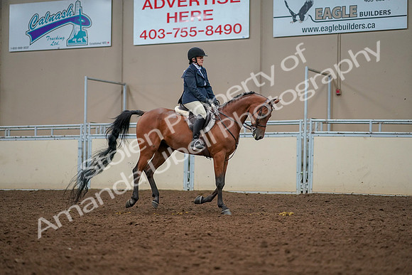 2019 Morgan Horse Show - Aug 30, 2019 - 22487
