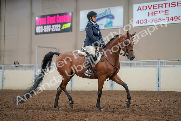 2019 Morgan Horse Show - Aug 30, 2019 - 22594