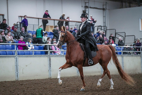 Spring Fling - Saturday - April 20, 2019  -  00617