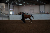 2019 Morgan Horse Show - Aug 30, 2019 - 25528