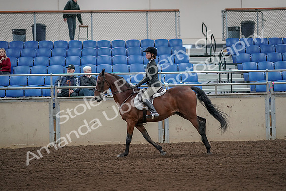 2019 Morgan Horse Show - Aug 31, 2019 - 05038