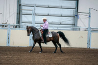 2020 - AB Morgan Horse - Fri, Sept 04 - 00535