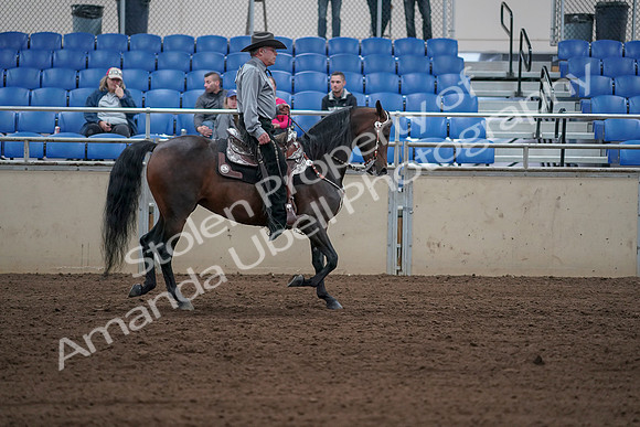 2019 Morgan Horse Show - Sept 01, 2019 - 07090