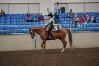 2019 Morgan Horse Show - Aug 30, 2019 - 25871