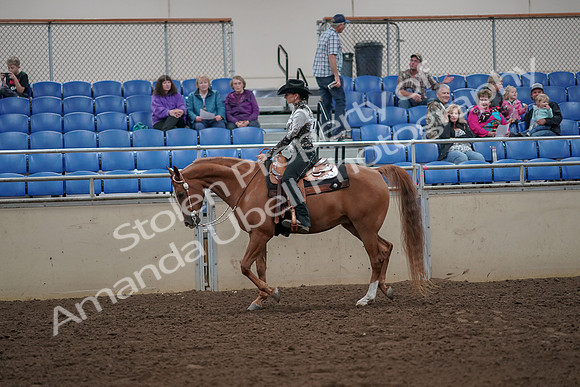 2019 Morgan Horse Show - Aug 30, 2019 - 25871