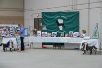 2019 Morgan Horse Show - Sept 01, 2019 - 05896