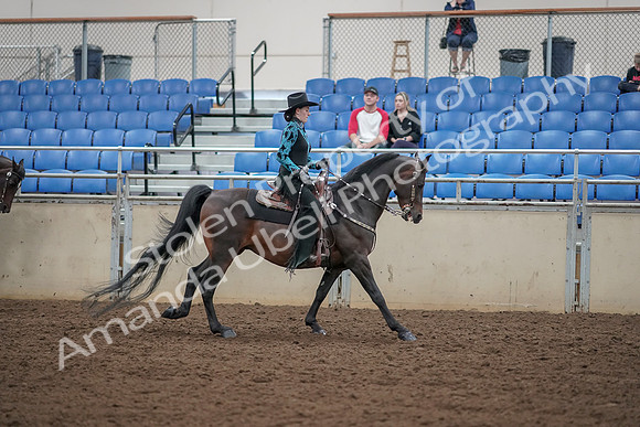 2019 Morgan Horse Show - Aug 30, 2019 - 26174