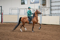 2020 - AB Morgan Horse - Fri, Sept 04 - 08678