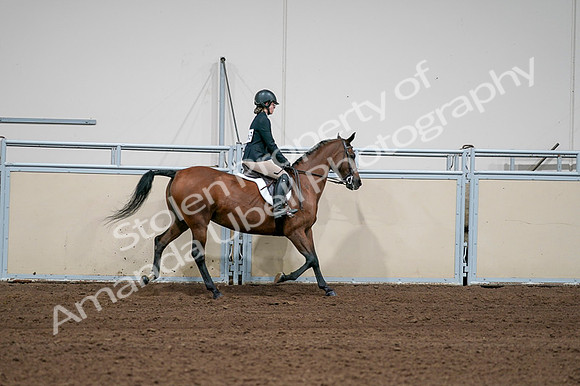 2020 - AB Morgan Horse - Fri, Sept 04 - 02147