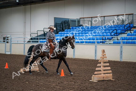 2020 - AB Morgan Horse - Fri, Sept 04 - 00383