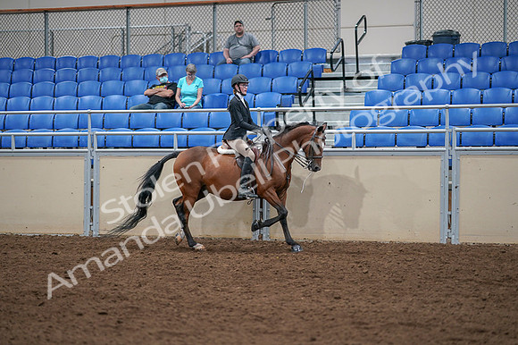 2020 - AB Morgan Horse - Fri, Sept 04 - 06122