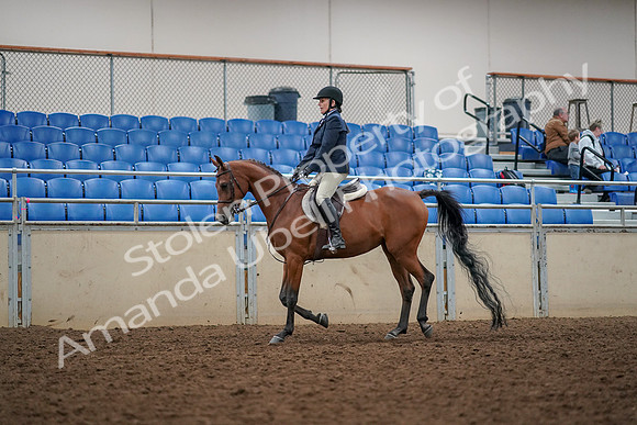 2019 Morgan Horse Show - Aug 30, 2019 - 22248