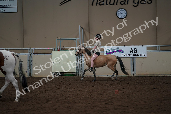 2019 Morgan Horse Show - Aug 30, 2019 - 31175