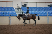 2019 Morgan Horse Show - Aug 31, 2019 - 06313
