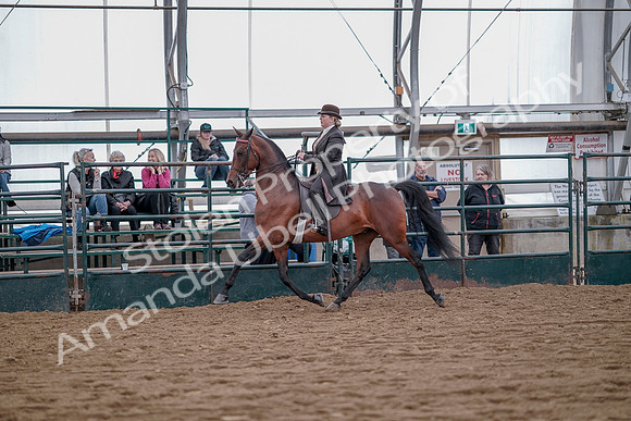 July 20, 2019 - 13868