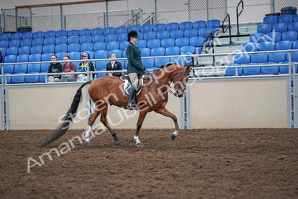 2020 - AB Morgan Horse - Sat, Sept 05 - 05107