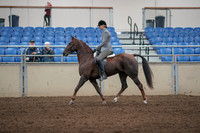 2019 Morgan Horse Show - Aug 31, 2019 - 07151