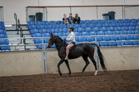 2019 Morgan Horse Show - Aug 30, 2019 - 31030