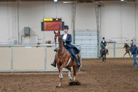 2020 - AB Morgan Horse - Sat, Sept 05 - 11360