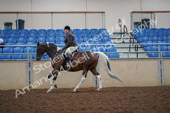 2019 Morgan Horse Show - Aug 30, 2019 - 22419