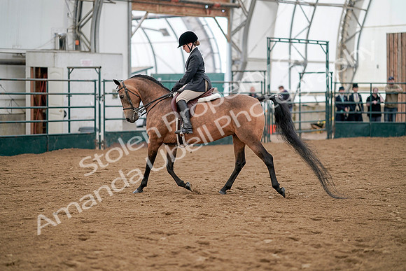 July 20, 2019 - 01237