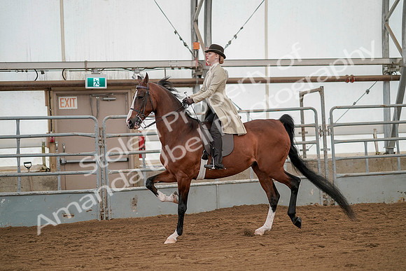 July 20, 2019 - 02068