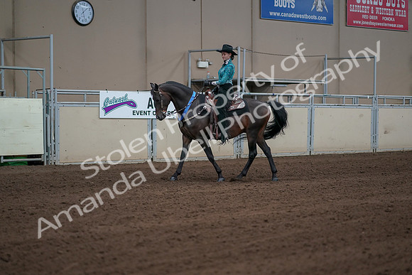 2019 Morgan Horse Show - Sept 01, 2019 - 07296