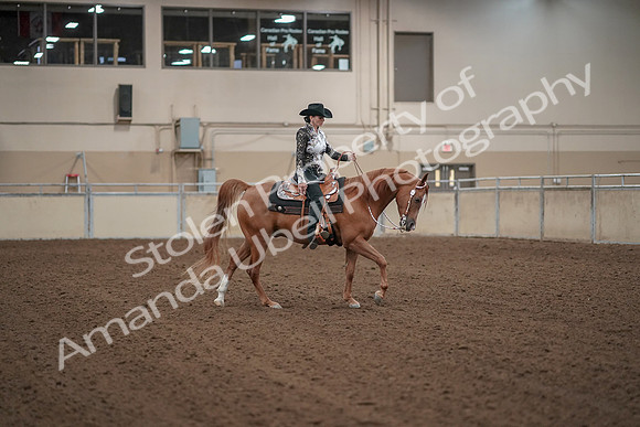 2019 Morgan Horse Show - Aug 30, 2019 - 26216