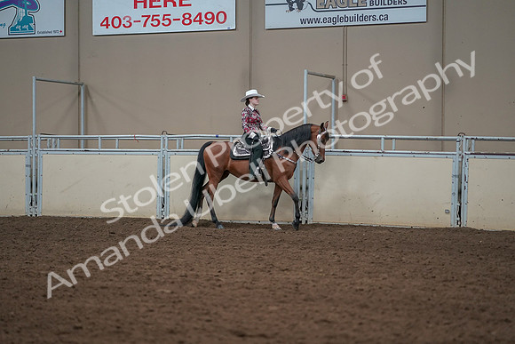 2019 Morgan Horse Show - Aug 30, 2019 - 26144