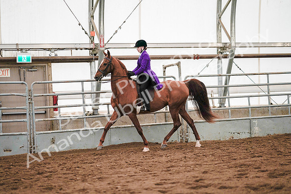 July 20, 2019 - 21584