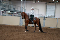 2020 - AB Morgan Horse - Fri, Sept 04 - 03466