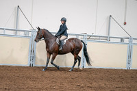 2020 - AB Morgan Horse - Sat, Sept 05 - 04967