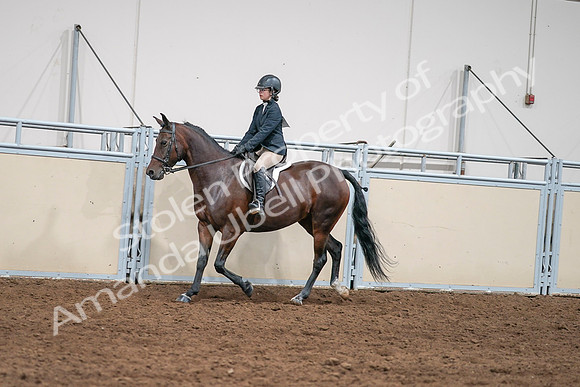 2020 - AB Morgan Horse - Sat, Sept 05 - 04967