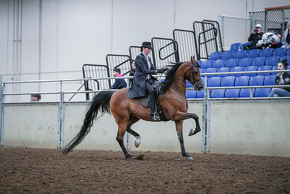 Spring Fling - Saturday - April 20, 2019  -  00759