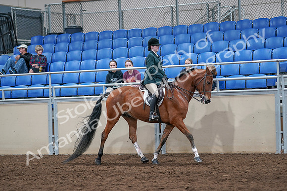 2020 - AB Morgan Horse - Sat, Sept 05 - 05179