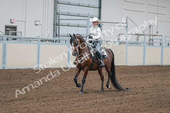 2020 - AB Morgan Horse - Sat, Sept 05 - 09011