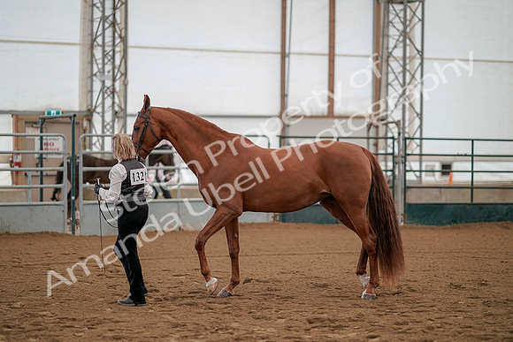 July 19, 2019 - 937