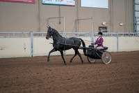 2019 Morgan Horse Show - Sept 01, 2019 - 10370