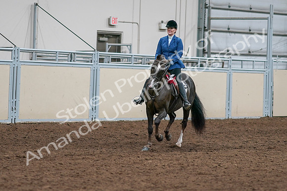 2020 - AB Morgan Horse - Sat, Sept 05 - 05230