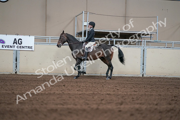 2019 Morgan Horse Show - Sept 01, 2019 - 03674