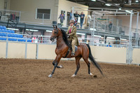 2020 - AB Morgan Horse - Sat, Sept 05 - 05284