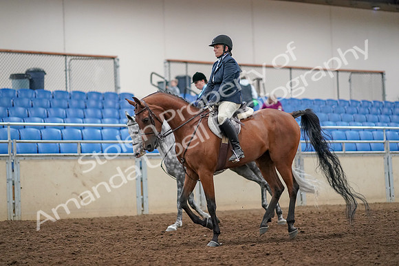 2019 Morgan Horse Show - Aug 30, 2019 - 22448