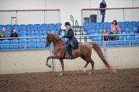 2019 Morgan Horse Show - Aug 31, 2019 - 12187